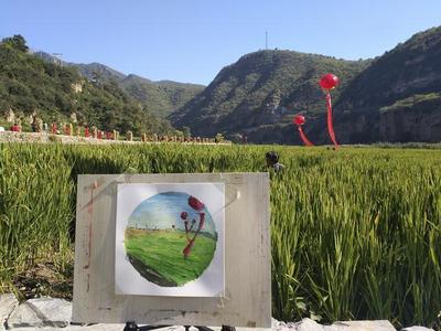 你可見過稻田里的藝術(shù)節(jié),就去紅旗渠敲鑼打鼓收稻子