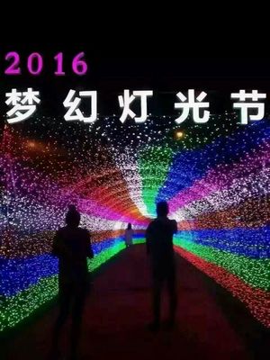 光影賦能，點(diǎn)亮景區(qū)新視界 探訪大型燈光藝術(shù)產(chǎn)品的制作、租售與景觀藝術(shù)融合