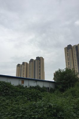 查看九州方圓國(guó)際靠譜人氣經(jīng)紀(jì)人!